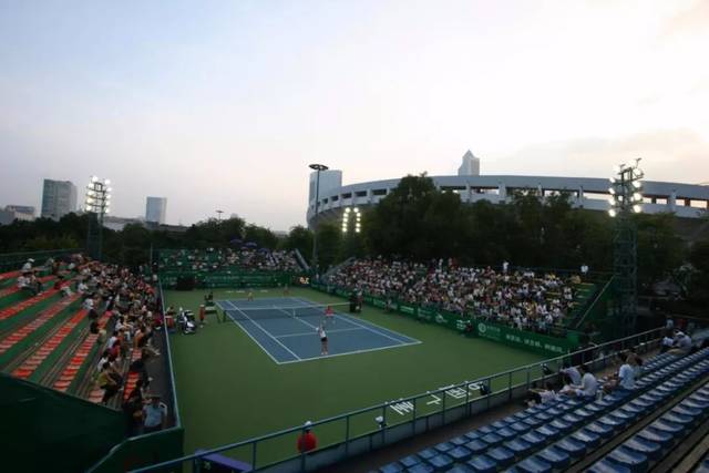 森林的未来 森林的未来