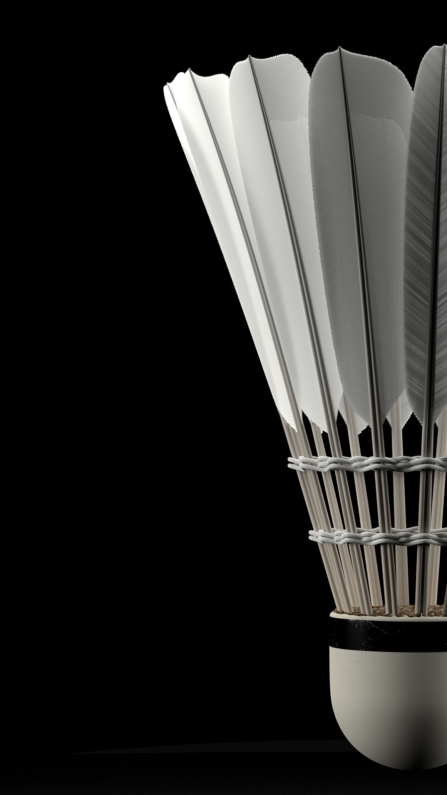 四阶段各有 四阶段各有